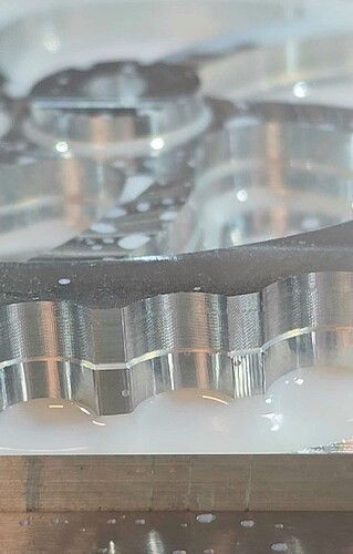 2026-3-14 12-23-35(1)